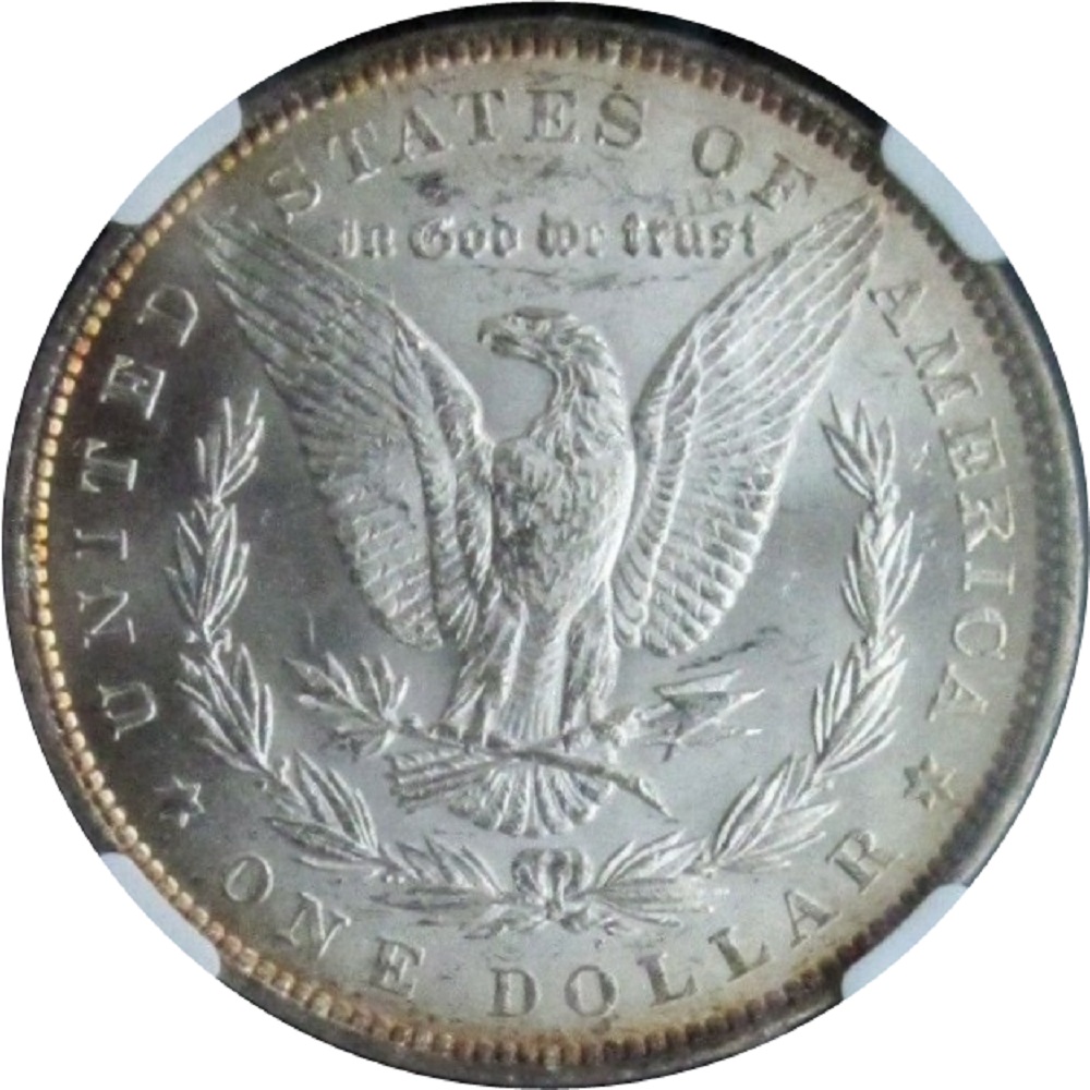 1879-$1-Morgan-Silver-Dollar-Obverse-Toned